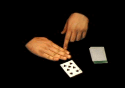Table Triple False Cut